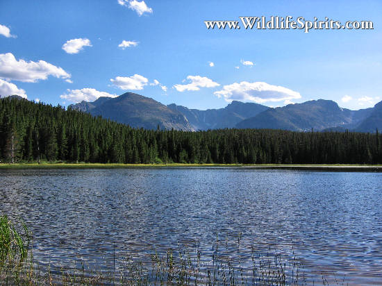 Click Picture to send as an  E-PostCard 63k 550x412
